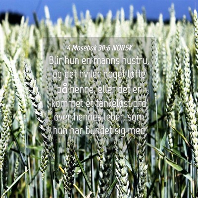 Picture 04 - 4 Mosebok 30:6 NORSK - Blir hun en manns hustru, og det hviler noget - Bible Verse Picture
