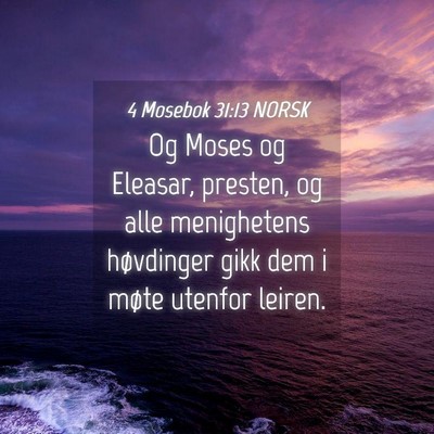 Picture 04 - 4 Mosebok 31:13 NORSK - Og Moses og Eleasar, presten, og alle menighetens - Bible Verse Picture