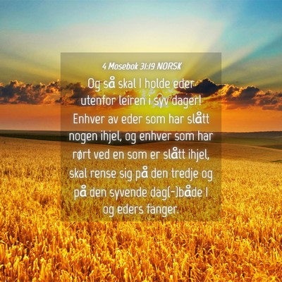 Picture 04 - 4 Mosebok 31:19 NORSK - Og så skal I holde eder utenfor leiren i syv - Bible Verse Picture