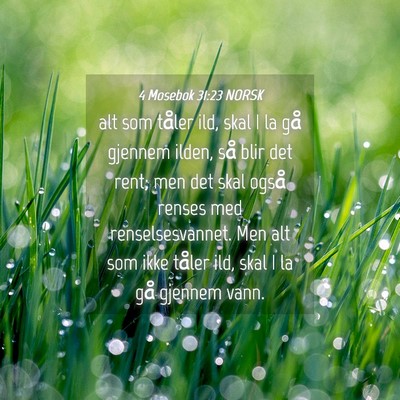 Picture 04 - 4 Mosebok 31:23 NORSK - alt som tåler ild, skal I la gå gjennem ilden, - Bible Verse Picture