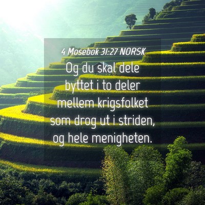 Picture 04 - 4 Mosebok 31:27 NORSK - Og du skal dele byttet i to deler mellem - Bible Verse Picture