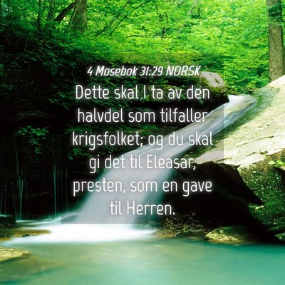 Picture 04 - 4 Mosebok 31:29 NORSK - Dette skal I ta av den halvdel som tilfaller - Bible Verse Picture