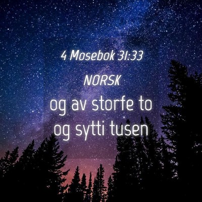 Picture 04 - 4 Mosebok 31:33 NORSK - og av storfe to og sytti - Bible Verse Picture