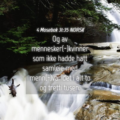 Picture 04 - 4 Mosebok 31:35 NORSK - Og av mennesker(-)kvinner som ikke hadde hatt - Bible Verse Picture