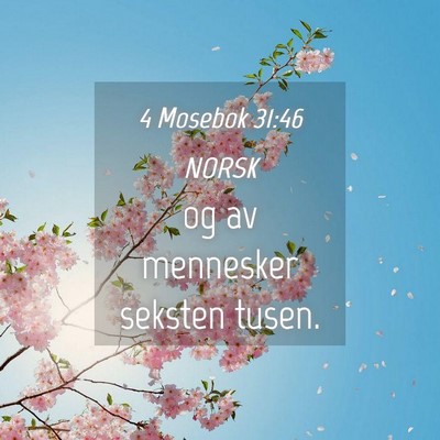 Picture 04 - 4 Mosebok 31:46 NORSK - og av mennesker seksten - Bible Verse Picture