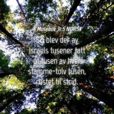 Picture 04 - 4 Mosebok 31:5 NORSK - Så blev der av Israels tusener tatt ut tusen av - Bible Verse Picture