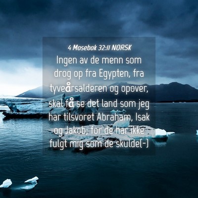 Picture 04 - 4 Mosebok 32:11 NORSK - Ingen av de menn som drog op fra Egypten, fra - Bible Verse Picture