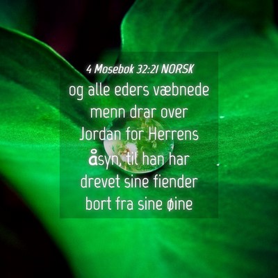 Picture 04 - 4 Mosebok 32:21 NORSK - og alle eders væbnede menn drar over Jordan for - Bible Verse Picture