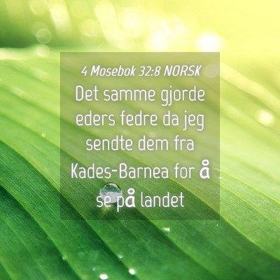 Picture 04 - 4 Mosebok 32:8 NORSK - Det samme gjorde eders fedre da jeg sendte dem - Bible Verse Picture