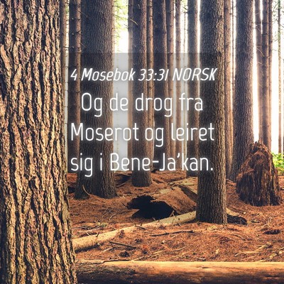 Picture 04 - 4 Mosebok 33:31 NORSK - Og de drog fra Moserot og leiret sig i - Bible Verse Picture