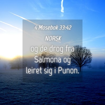 Picture 04 - 4 Mosebok 33:42 NORSK - og de drog fra Salmona og leiret sig i - Bible Verse Picture