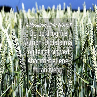 Picture 04 - 4 Mosebok 33:47 NORSK - Og de drog fra Almon-Diblataima og leiret sig ved - Bible Verse Picture