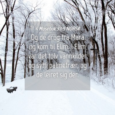 Picture 04 - 4 Mosebok 33:9 NORSK - Og de drog fra Mara og kom til Elim. I Elim var - Bible Verse Picture