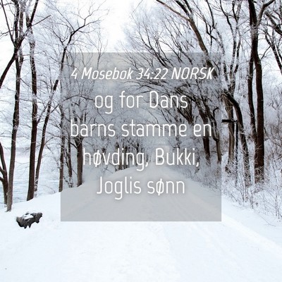 Picture 04 - 4 Mosebok 34:22 NORSK - og for Dans barns stamme en høvding, Bukki, - Bible Verse Picture