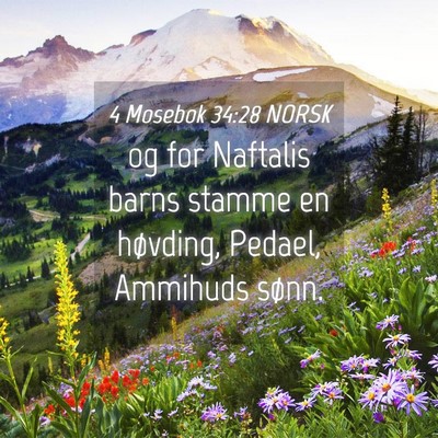 Picture 04 - 4 Mosebok 34:28 NORSK - og for Naftalis barns stamme en høvding, Pedael, - Bible Verse Picture