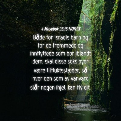 Picture 04 - 4 Mosebok 35:15 NORSK - Både for Israels barn og for de fremmede og - Bible Verse Picture