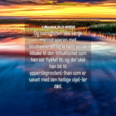 Picture 04 - 4 Mosebok 35:25 NORSK - Og menigheten skal verge manndraperen mot - Bible Verse Picture