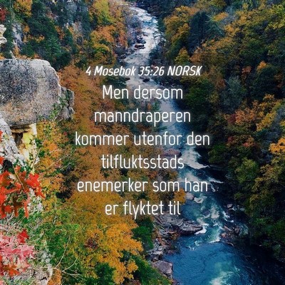 Picture 04 - 4 Mosebok 35:26 NORSK - Men dersom manndraperen kommer utenfor den - Bible Verse Picture