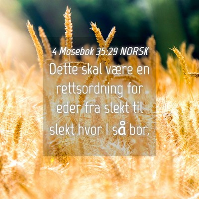 Picture 04 - 4 Mosebok 35:29 NORSK - Dette skal være en rettsordning for eder fra - Bible Verse Picture