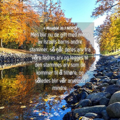 Picture 04 - 4 Mosebok 36:3 NORSK - Men blir nu de gift med menn av Israels barns - Bible Verse Picture