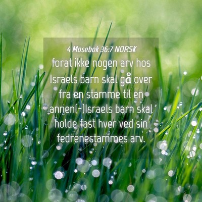 Picture 04 - 4 Mosebok 36:7 NORSK - forat ikke nogen arv hos Israels barn skal gå - Bible Verse Picture