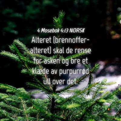 Picture 04 - 4 Mosebok 4:13 NORSK - Alteret {brennoffer-alteret} skal de rense for - Bible Verse Picture
