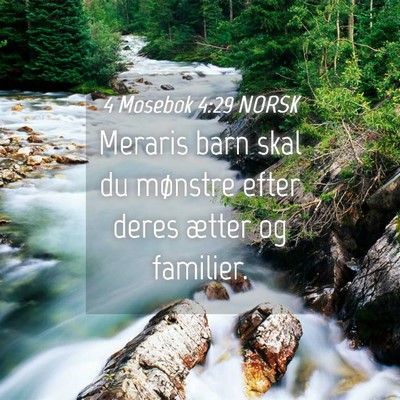 Picture 04 - 4 Mosebok 4:29 NORSK - Meraris barn skal du mønstre efter deres ætter - Bible Verse Picture