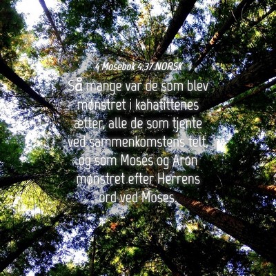 Picture 04 - 4 Mosebok 4:37 NORSK - Så mange var de som blev mønstret i - Bible Verse Picture