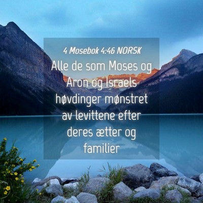 Picture 04 - 4 Mosebok 4:46 NORSK - Alle de som Moses og Aron og Israels høvdinger - Bible Verse Picture