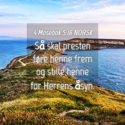 Picture 04 - 4 Mosebok 5:16 NORSK - Så skal presten føre henne frem og stille henne - Bible Verse Picture