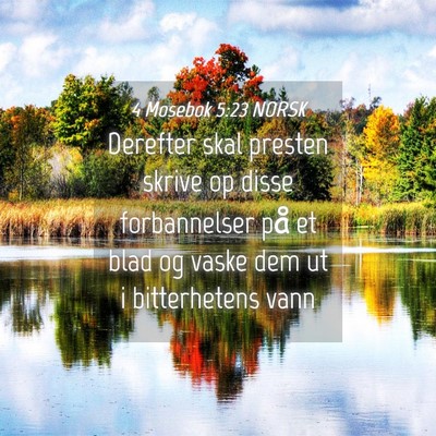 Picture 04 - 4 Mosebok 5:23 NORSK - Derefter skal presten skrive op disse - Bible Verse Picture