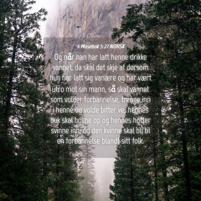 Picture 04 - 4 Mosebok 5:27 NORSK - Og når han har latt henne drikke vannet, da skal - Bible Verse Picture