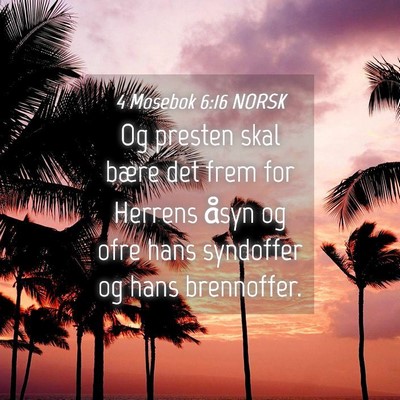Picture 04 - 4 Mosebok 6:16 NORSK - Og presten skal bære det frem for Herrens åsyn - Bible Verse Picture