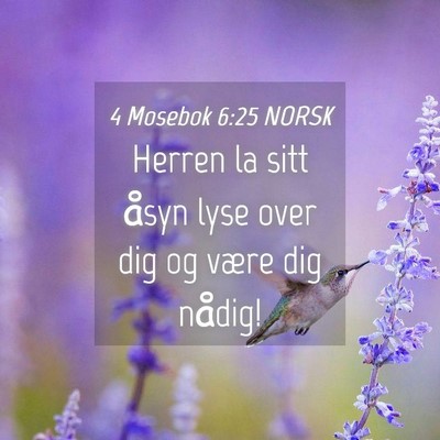 Picture 04 - 4 Mosebok 6:25 NORSK - Herren la sitt åsyn lyse over dig og være dig - Bible Verse Picture