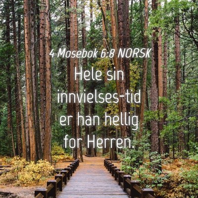 Picture 04 - 4 Mosebok 6:8 NORSK - Hele sin innvielses-tid er han hellig for - Bible Verse Picture
