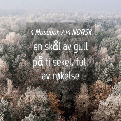 Picture 04 - 4 Mosebok 7:14 NORSK - en skål av gull på ti sekel, full av - Bible Verse Picture
