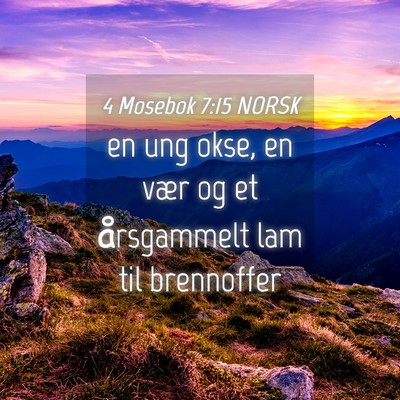 Picture 04 - 4 Mosebok 7:15 NORSK - en ung okse, en vær og et årsgammelt lam til - Bible Verse Picture