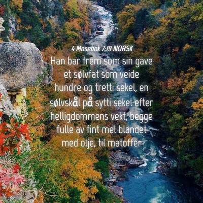 Picture 04 - 4 Mosebok 7:19 NORSK - Han bar frem som sin gave et sølvfat som veide - Bible Verse Picture