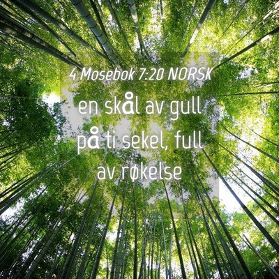 Picture 04 - 4 Mosebok 7:20 NORSK - en skål av gull på ti sekel, full av - Bible Verse Picture