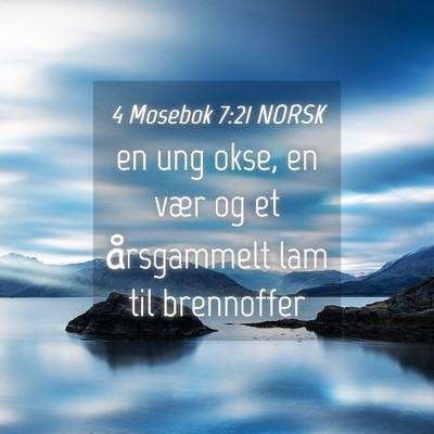 Picture 04 - 4 Mosebok 7:21 NORSK - en ung okse, en vær og et årsgammelt lam til - Bible Verse Picture
