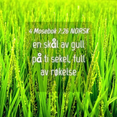Picture 04 - 4 Mosebok 7:26 NORSK - en skål av gull på ti sekel, full av - Bible Verse Picture