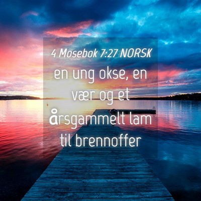 Picture 04 - 4 Mosebok 7:27 NORSK - en ung okse, en vær og et årsgammelt lam til - Bible Verse Picture