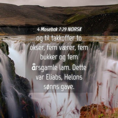 Picture 04 - 4 Mosebok 7:29 NORSK - og til takkoffer to okser, fem værer, fem bukker - Bible Verse Picture