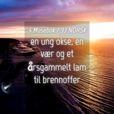 Picture 04 - 4 Mosebok 7:33 NORSK - en ung okse, en vær og et årsgammelt lam til - Bible Verse Picture