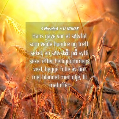 Picture 04 - 4 Mosebok 7:37 NORSK - Hans gave var et sølvfat som veide hundre og - Bible Verse Picture