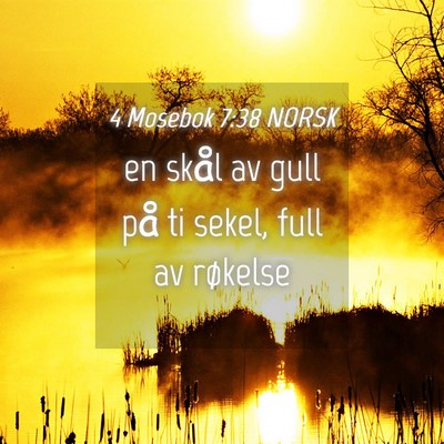 Picture 04 - 4 Mosebok 7:38 NORSK - en skål av gull på ti sekel, full av - Bible Verse Picture