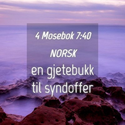 Picture 04 - 4 Mosebok 7:40 NORSK - en gjetebukk til - Bible Verse Picture