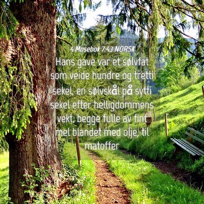 Picture 04 - 4 Mosebok 7:43 NORSK - Hans gave var et sølvfat som veide hundre og - Bible Verse Picture