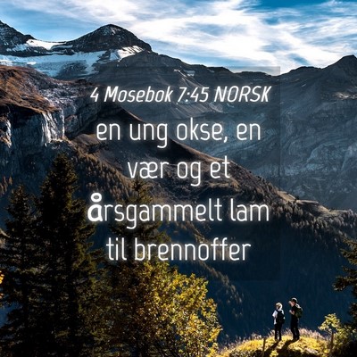 Picture 04 - 4 Mosebok 7:45 NORSK - en ung okse, en vær og et årsgammelt lam til - Bible Verse Picture