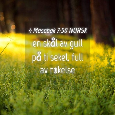 Picture 04 - 4 Mosebok 7:50 NORSK - en skål av gull på ti sekel, full av - Bible Verse Picture